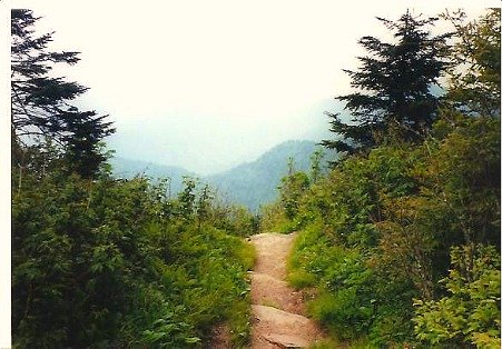 hiking trail smoky mountain overlook